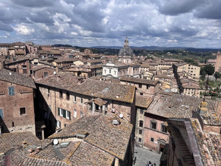 HEDIMED final Consortium Meeting in Siena